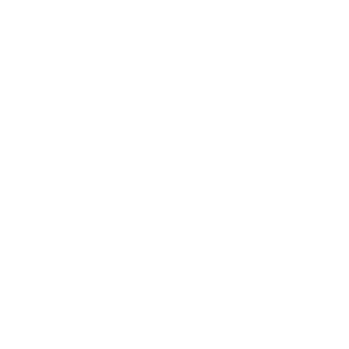 organisation adaptée